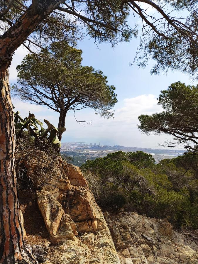 Cozy Place, Big Roof Terrace & Spectacular Views. Cabrils Esterno foto